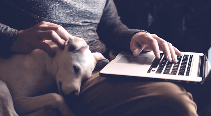 A dog lays resting its head on a persons lap who is using a computer